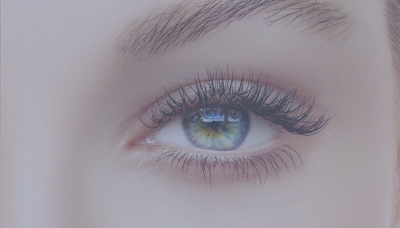Close-up of an eye